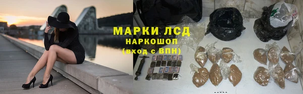 ГАЛЛЮЦИНОГЕННЫЕ ГРИБЫ Вязьма