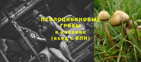 первитин Вяземский