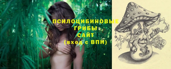 apvp Вязники