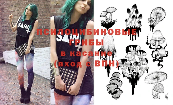 ГАЛЛЮЦИНОГЕННЫЕ ГРИБЫ Вязьма