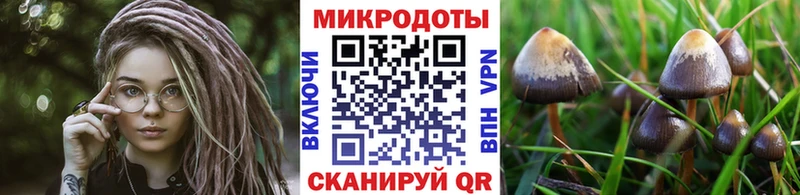Псилоцибиновые грибы GOLDEN TEACHER  Купить  Кировск 